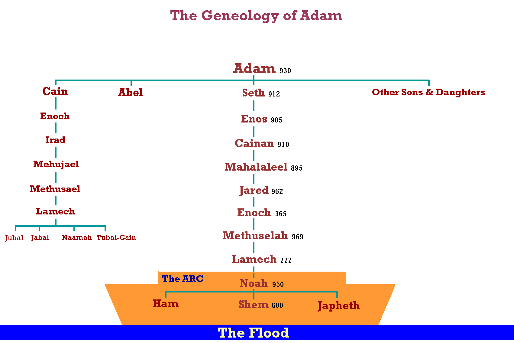 Adam And Lineage Chart